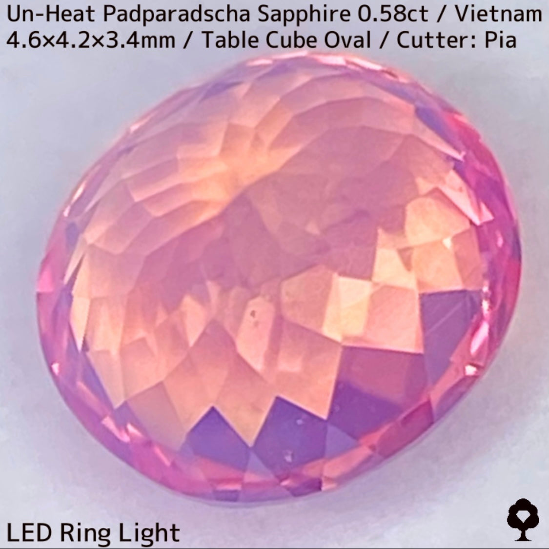 Un-Heat Padparadscha Sapphire 0.58ct / Vietnam