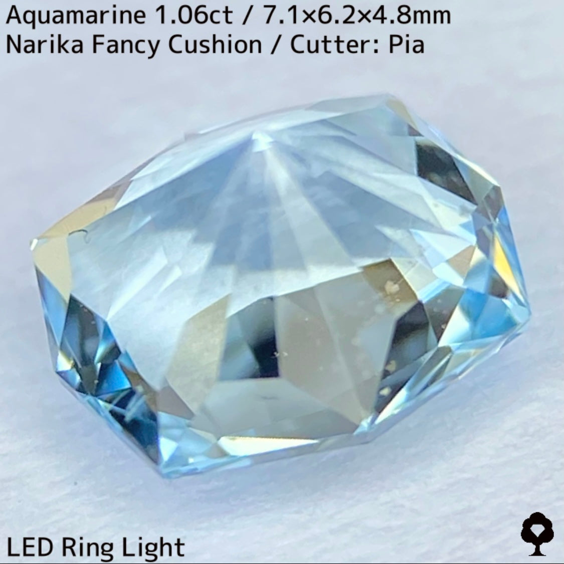 Aquamarine 1.06ct / Madagascar
