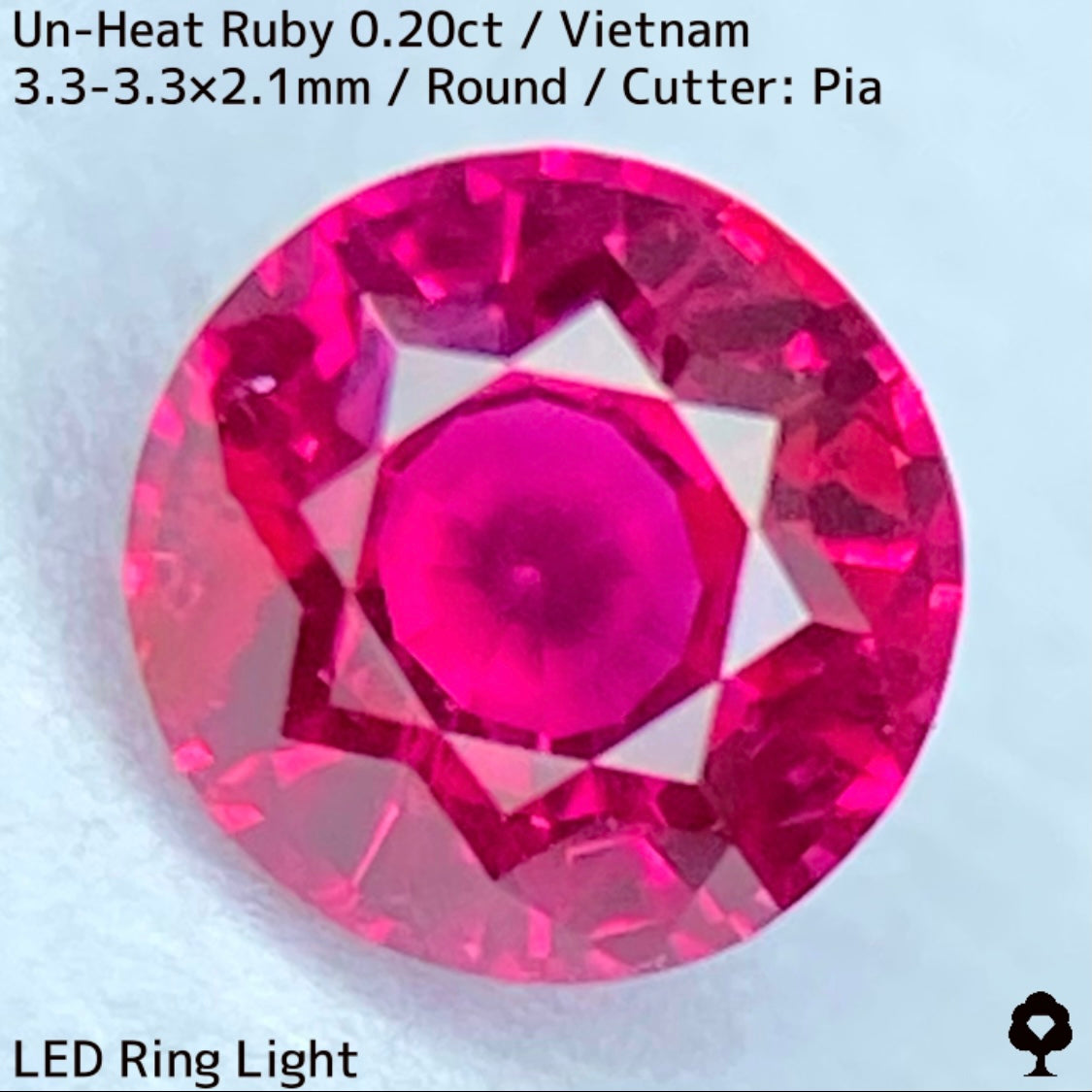 Un-Heat Ruby 0.20ct / Vietnam