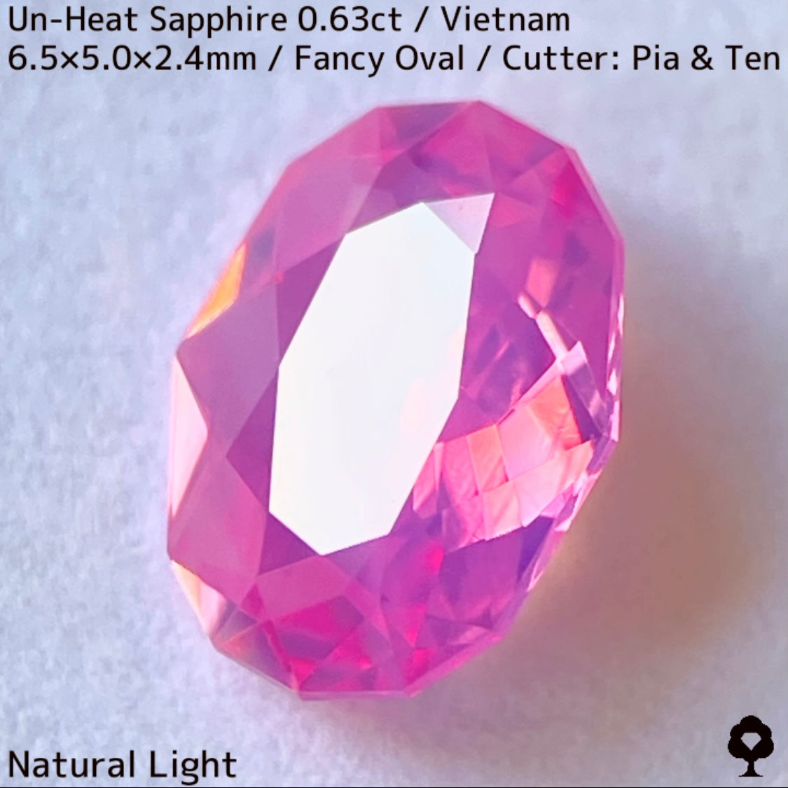 Un-Heat Sapphire 0.63ct / Vietnam