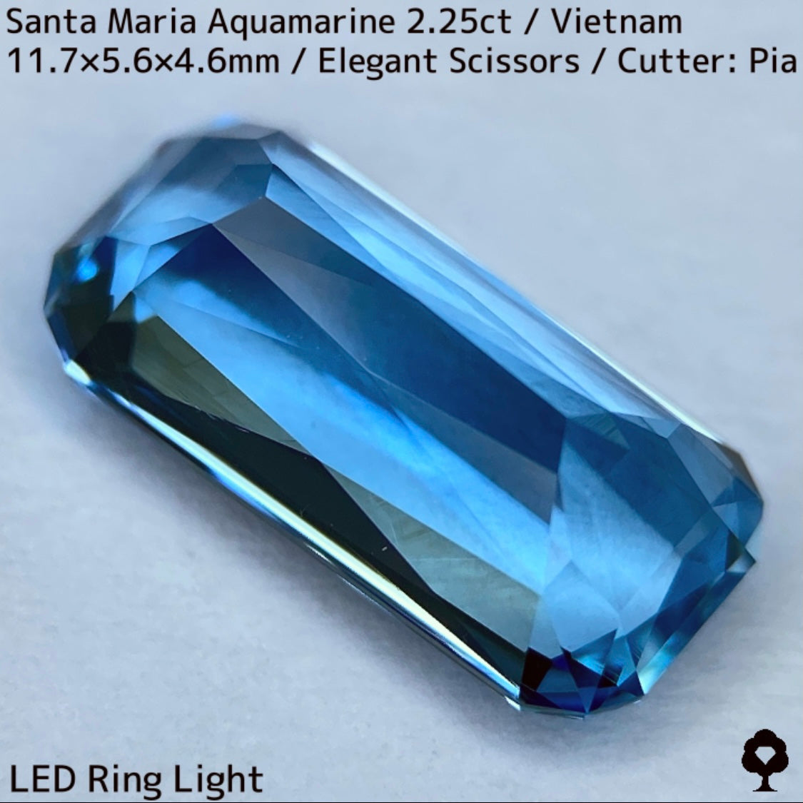Santa Maria Aquamarine 2.25ct / Vietnam
