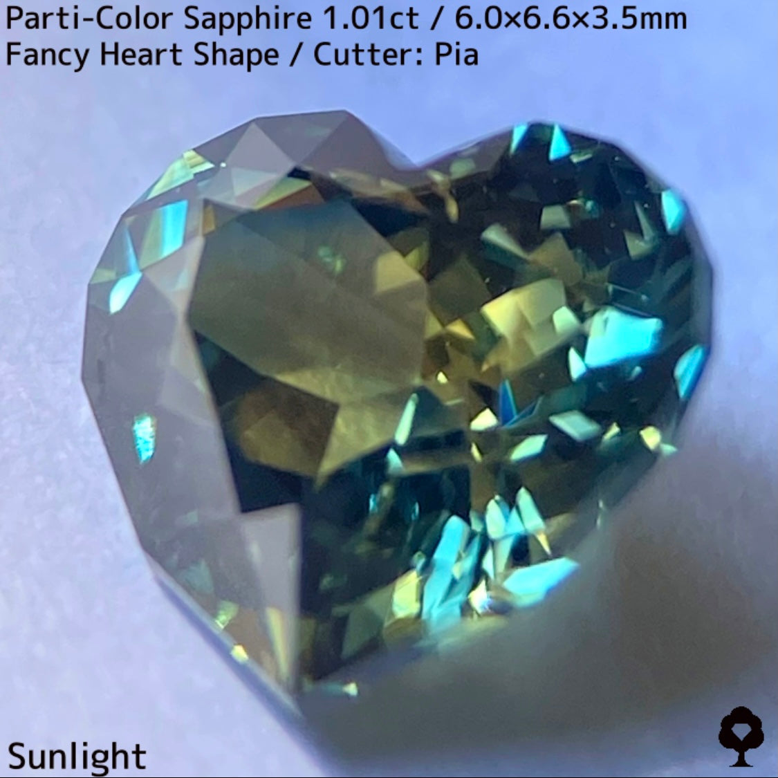 1.01ct Thai parti-colored sapphire ★ A rare fancy heart shape with a party feel that is typical of Bangkacha