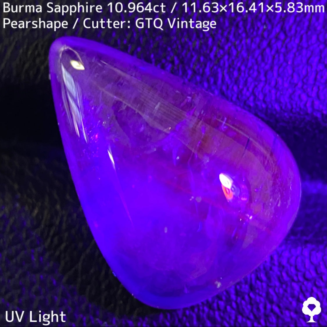 Sapphire 10.964ct / Burma / Cabochon