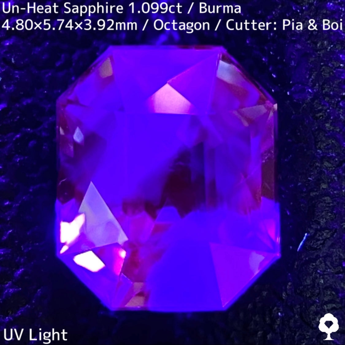 Un-Heat Sapphire 1.099ct / Burma