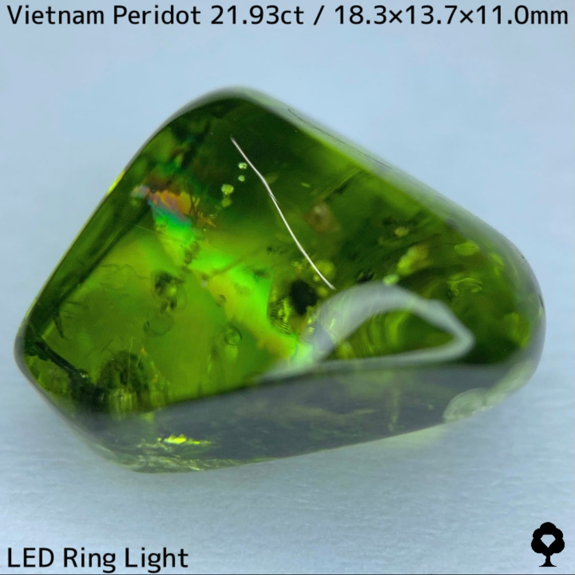 Peridot 21.93ct / Vietnam / Rough stone