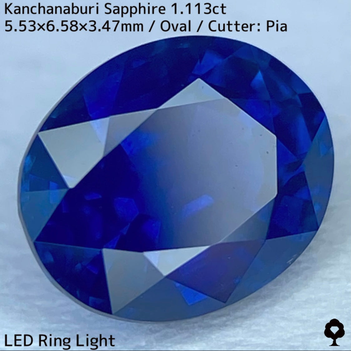 Kanchanaburi sapphire 1.113ct ★ A rare 1ct+ sapphire with a silky, slightly greenish blue color typical of Kanchanaburi