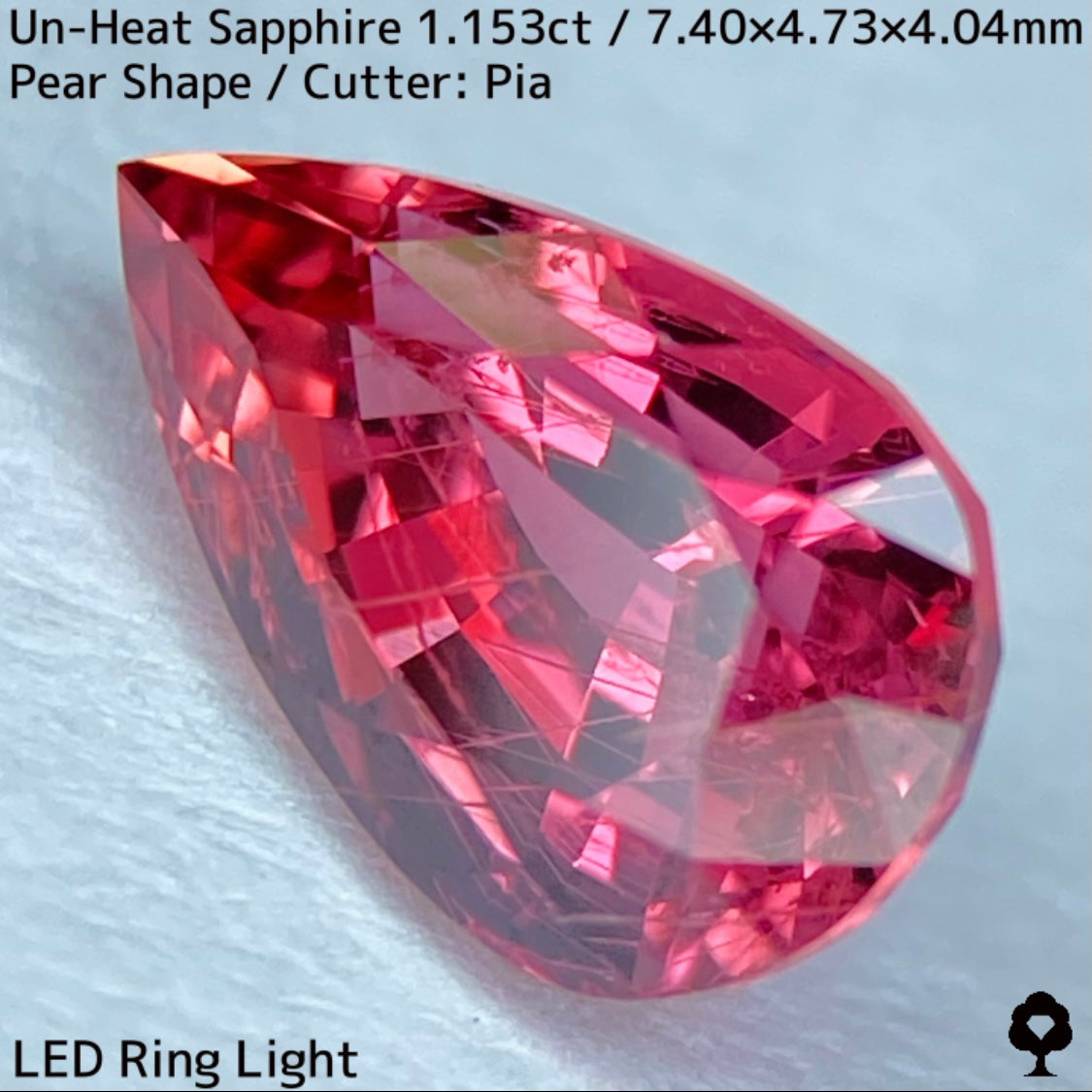 1.153ct unheated sapphire from Tanzania. Exquisite color and interesting needle inclusions like ruby, padparads, and impales.