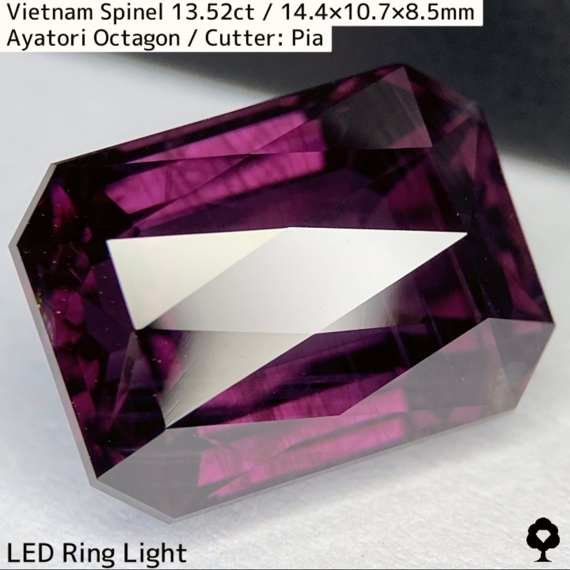 Spinel 13.52ct / Vietnam / Ayatori