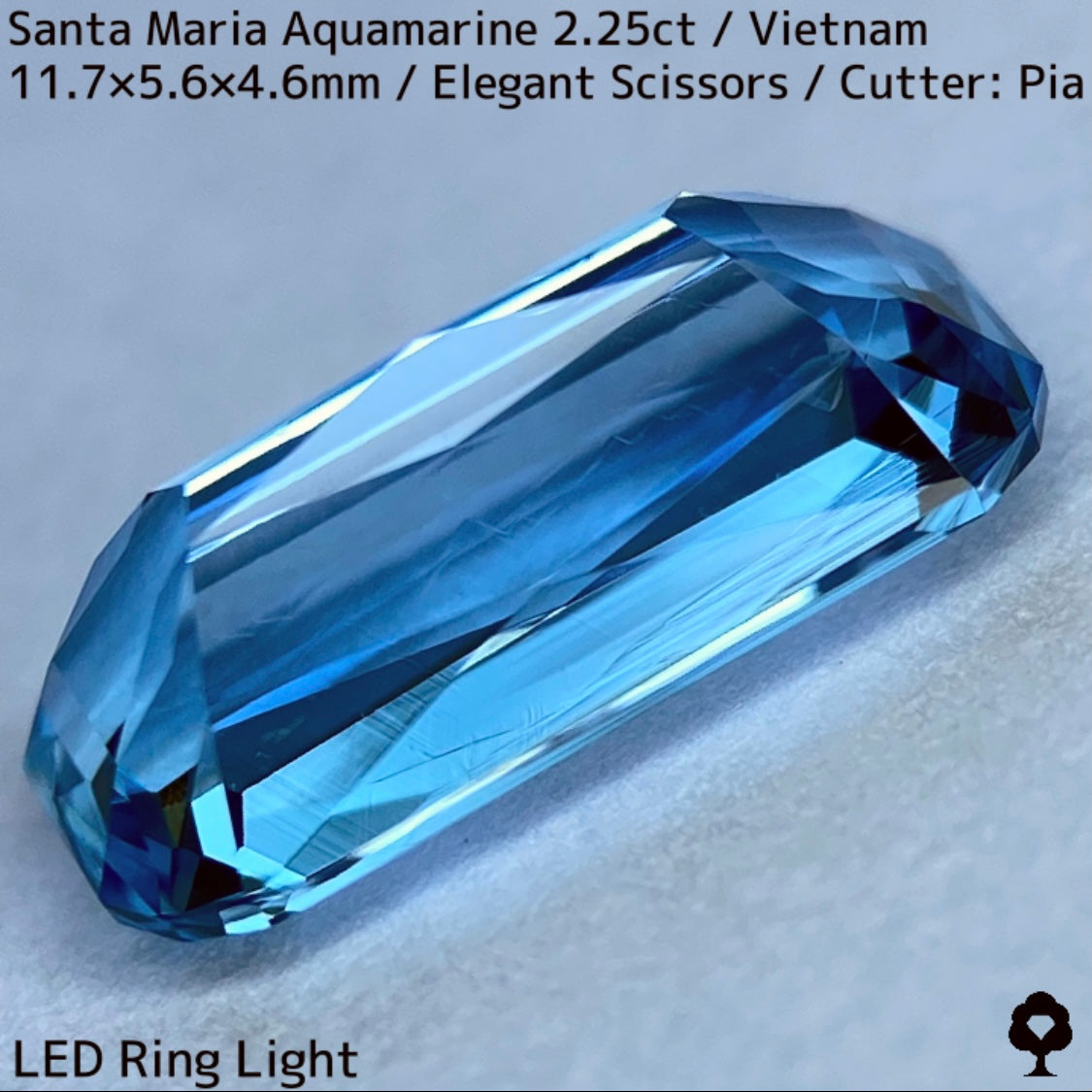 Santa Maria Aquamarine 2.25ct / Vietnam