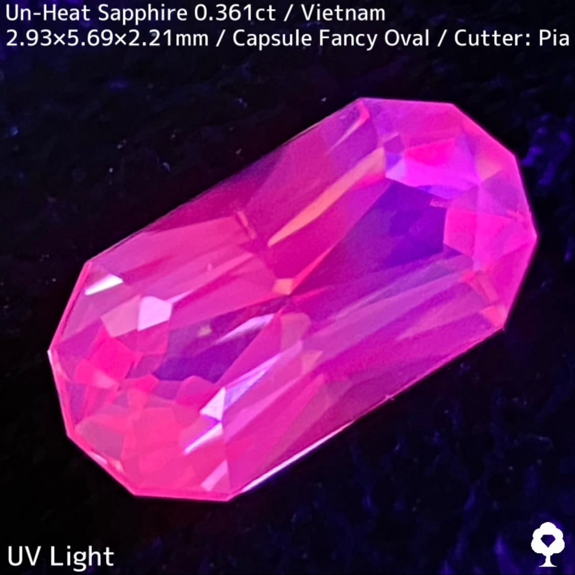 ベトナム産非加熱サファイア0.361ct★シルキーパープリッシュピンクとシルキーイエローのほんのりバイカラーが可愛い