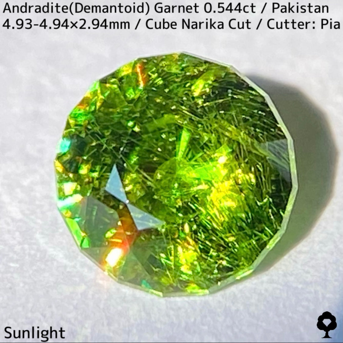 Andradite(Demantoid)0.544ct / Pakistan / Table cube Narika