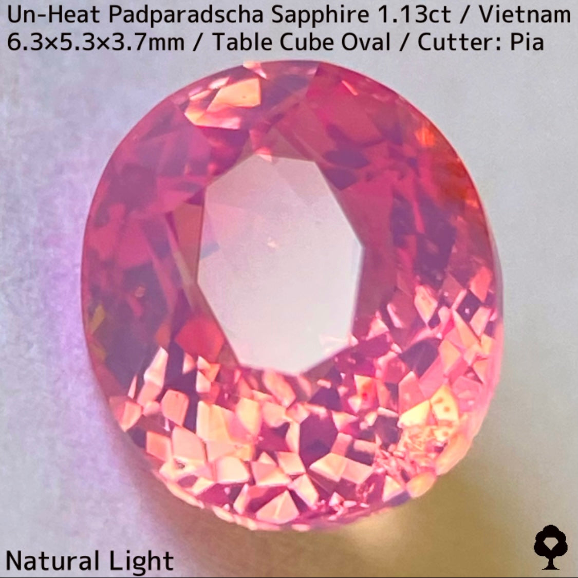 Un-Heat Padparadscha Sapphire 1.136ct / Vietnam