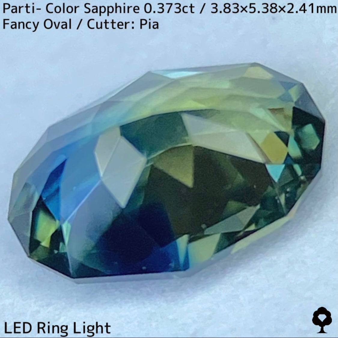 Parti-Color Sapphire 0.373ct / Thailand
