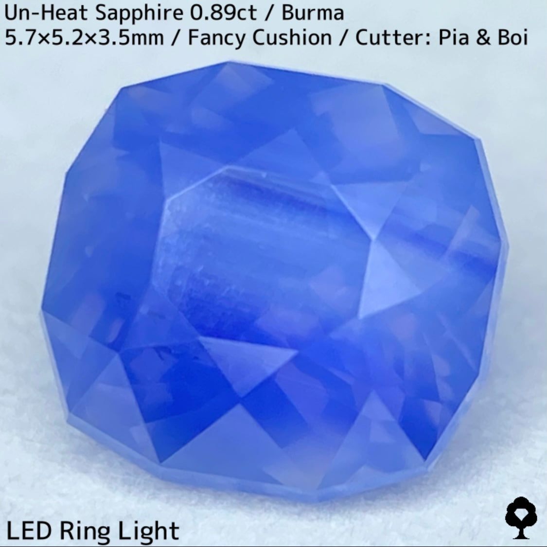 Un-Heat Sapphire 0.896ct / Burma