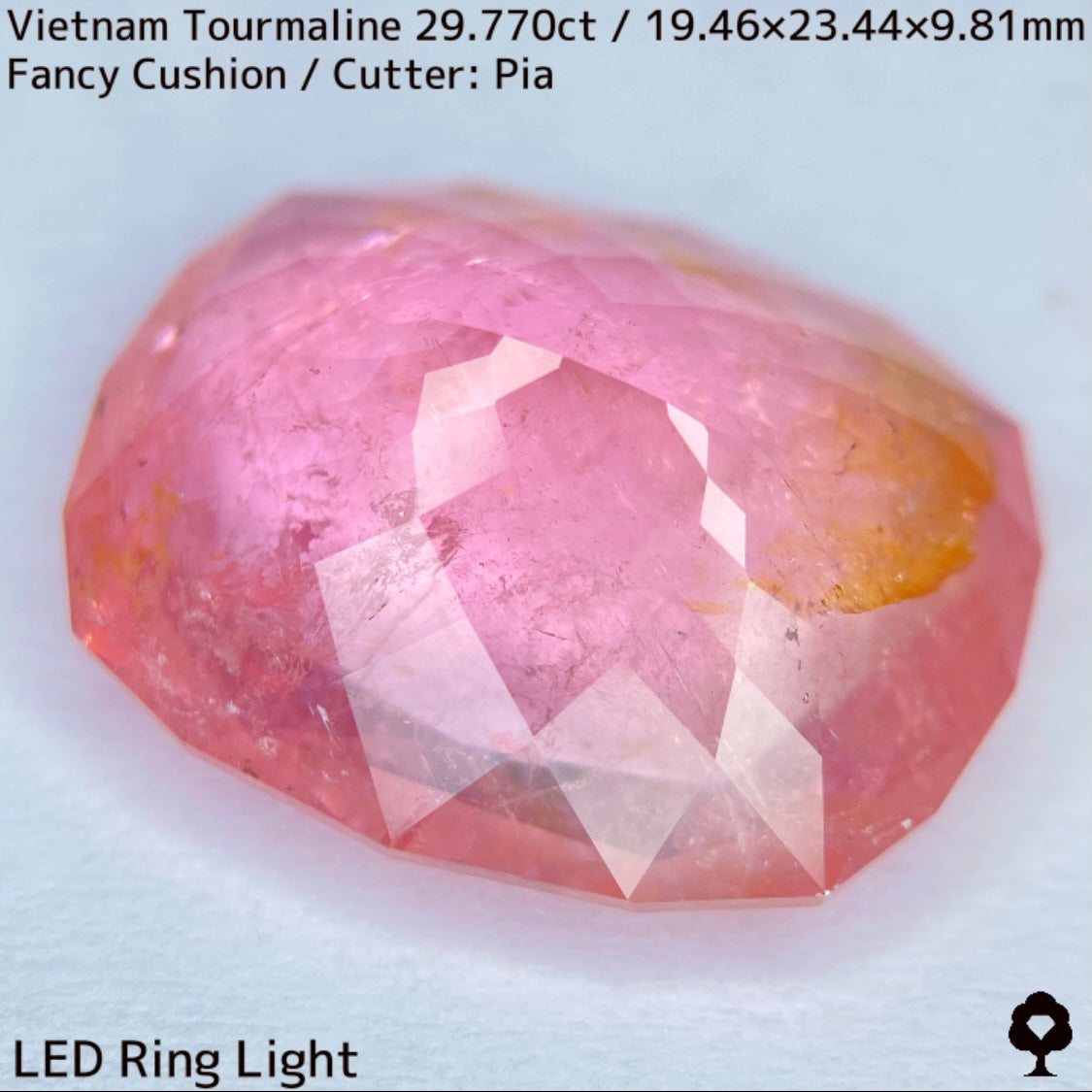 Tourmaline 29.770ct / Vietnam