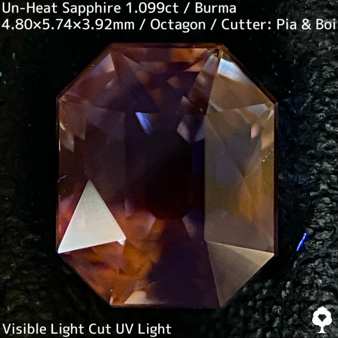 Un-Heat Sapphire 1.099ct / Burma