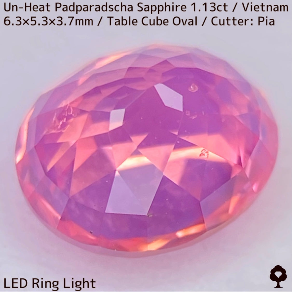 Un-Heat Padparadscha Sapphire 1.136ct / Vietnam