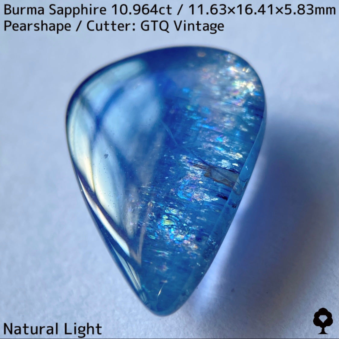 Sapphire 10.964ct / Burma / Cabochon