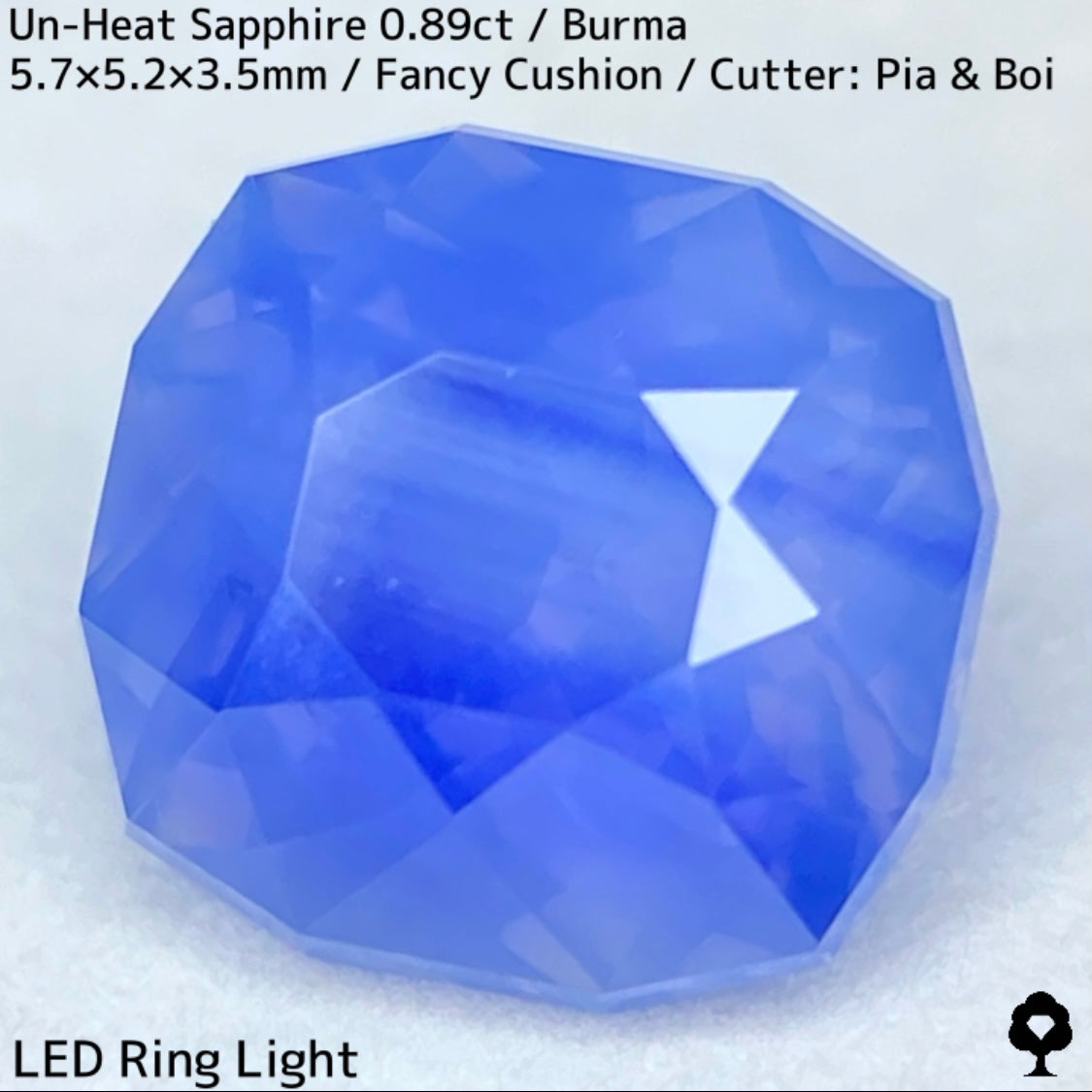 Un-Heat Sapphire 0.896ct / Burma