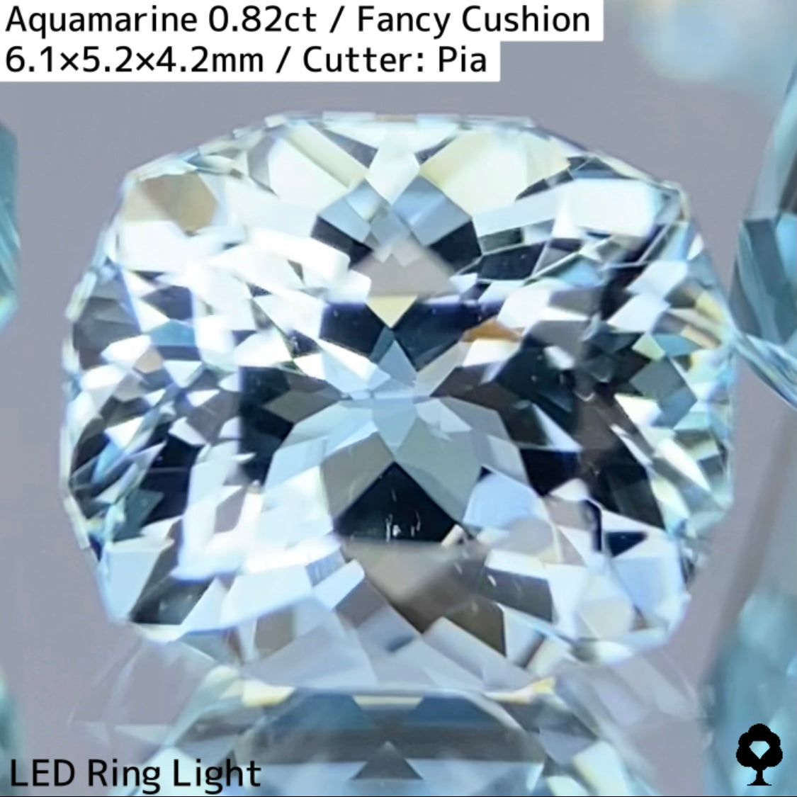 Aquamarine 0.82ct / Madagascar
