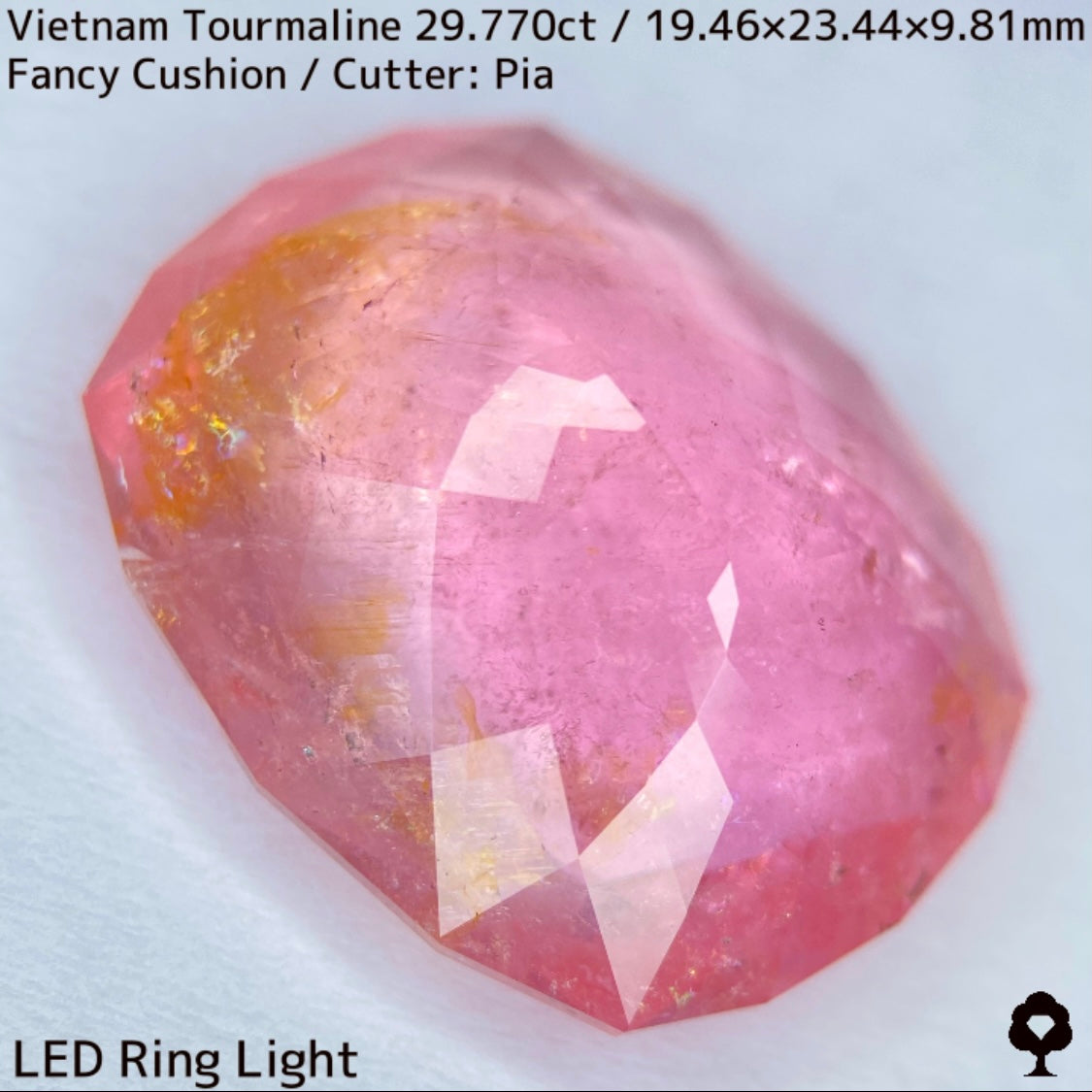 Tourmaline 29.770ct / Vietnam