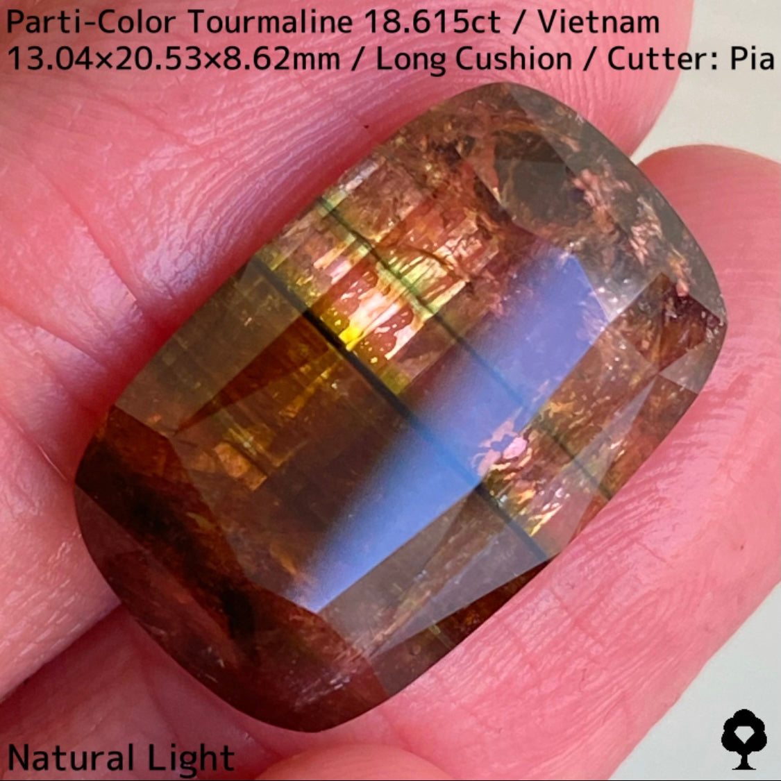 Parti-Color Tourmaline 18.615ct / Vietnam / Long Cushion