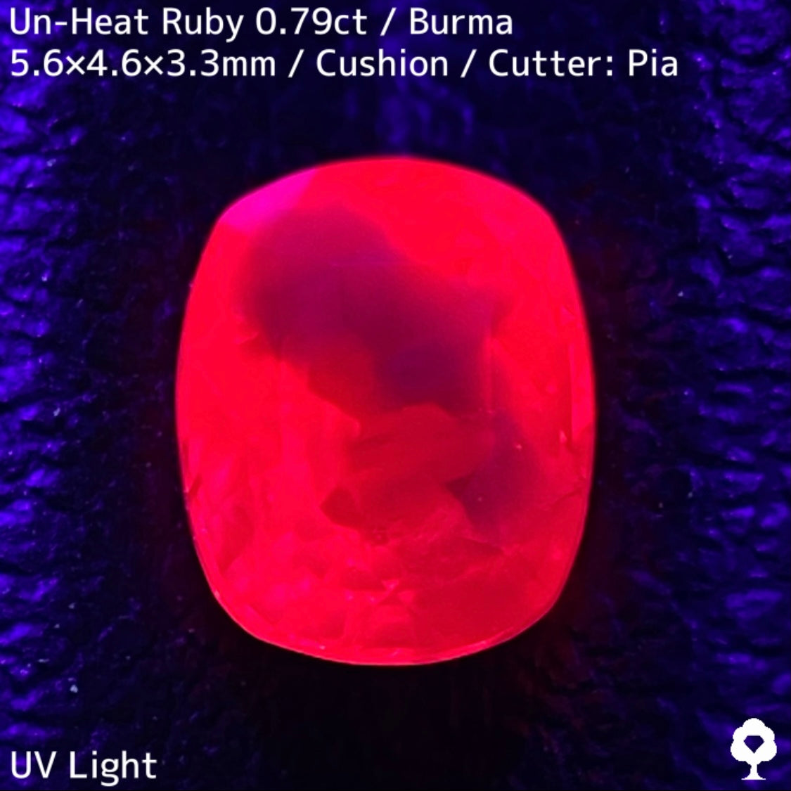 Burmese unheated ruby 0.79ct ★ Batman ruby with a beautiful crystal covered by a bat