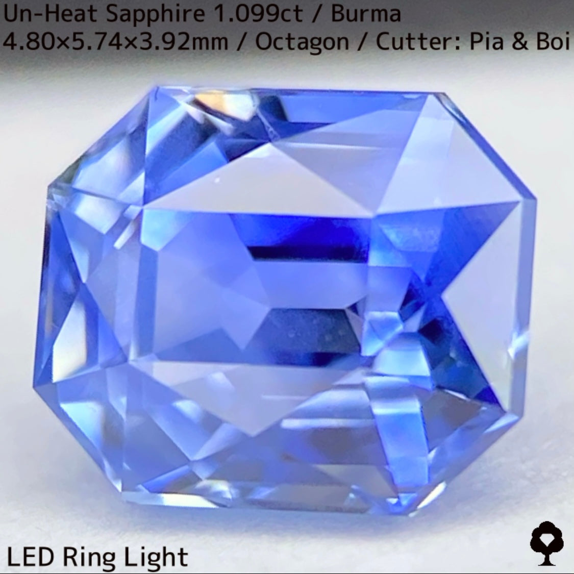 Un-Heat Sapphire 1.099ct / Burma