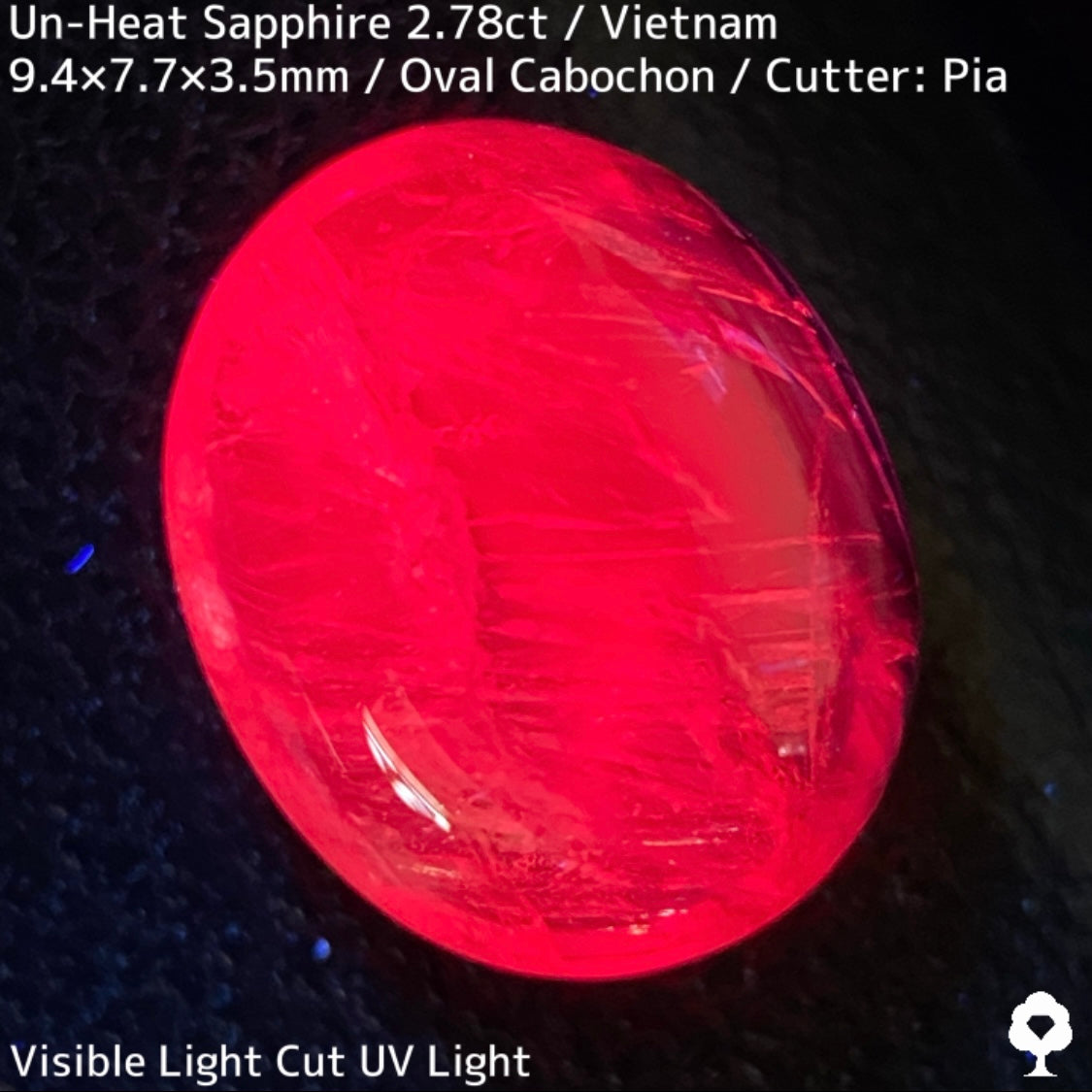 Un-Heat Sapphire 2.78ct / Vietnam