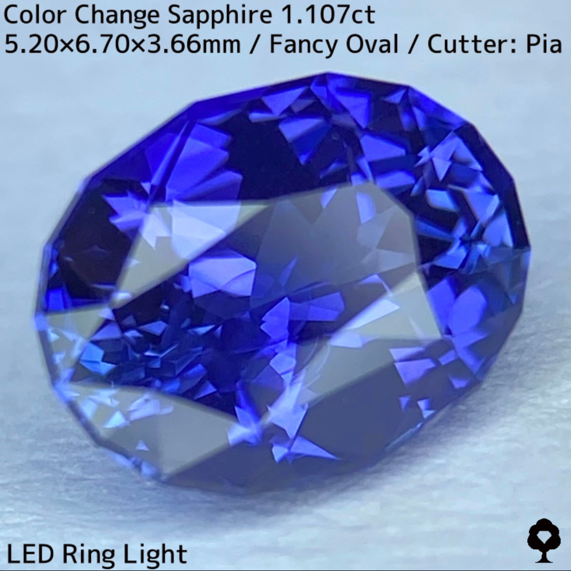 Tanzania color change sapphire 1.107ct ★ Beautiful color change multicolor crystal with a mix of blue, purple, and greenish blue