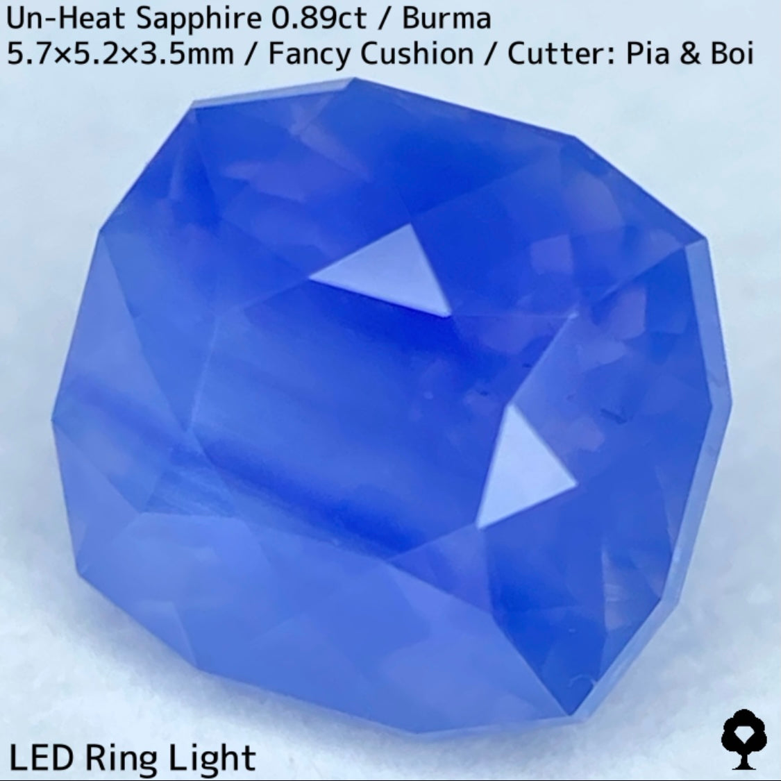 Un-Heat Sapphire 0.896ct / Burma