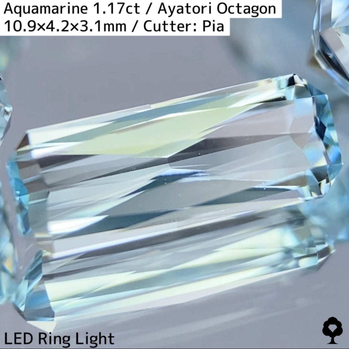 Aquamarine 1.17ct / Madagascar