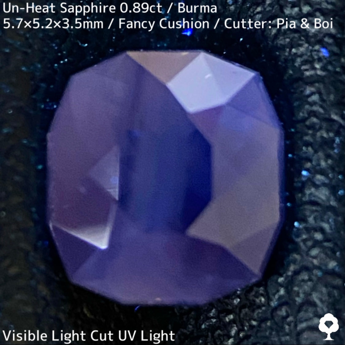 Un-Heat Sapphire 0.896ct / Burma