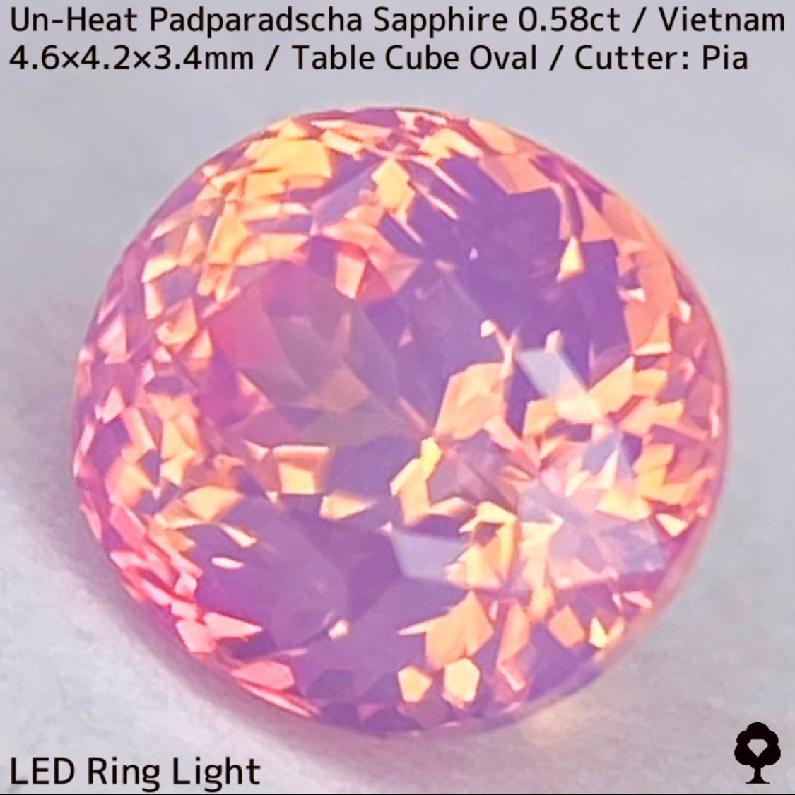 Un-Heat Padparadscha Sapphire 0.58ct / Vietnam