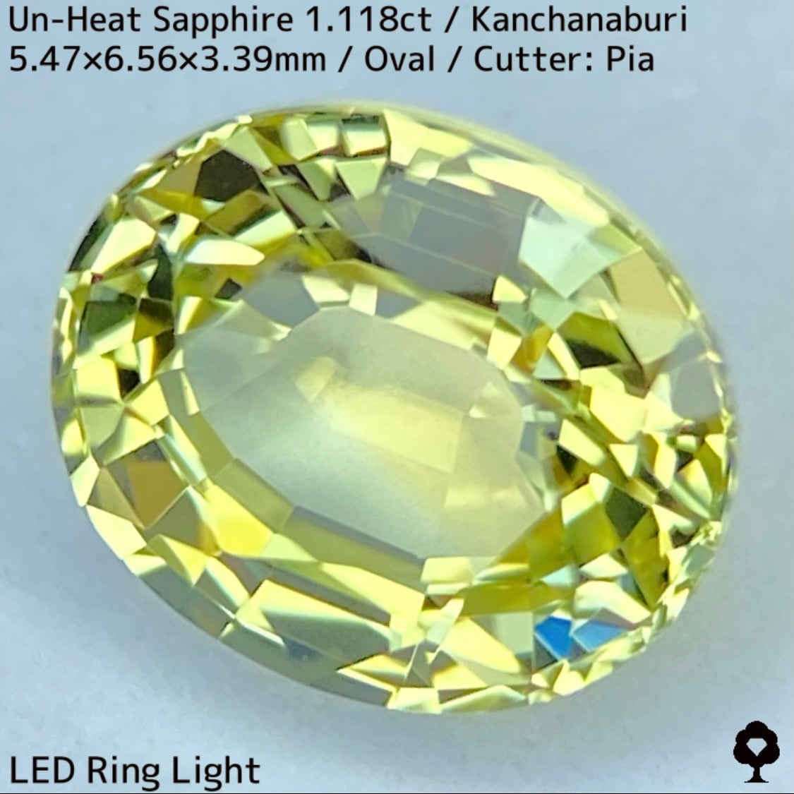 Kanchanaburi Sapphire 2Pc 2.231ct