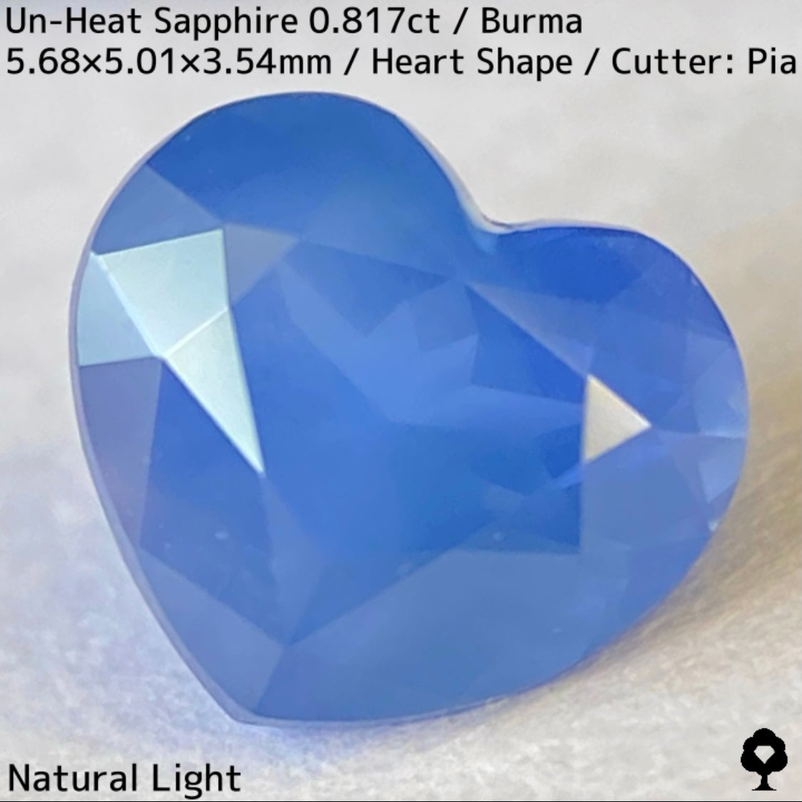 Un-Heat Sapphire 0.817ct / Burma