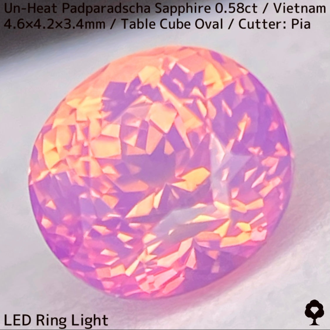 Un-Heat Padparadscha Sapphire 0.58ct / Vietnam