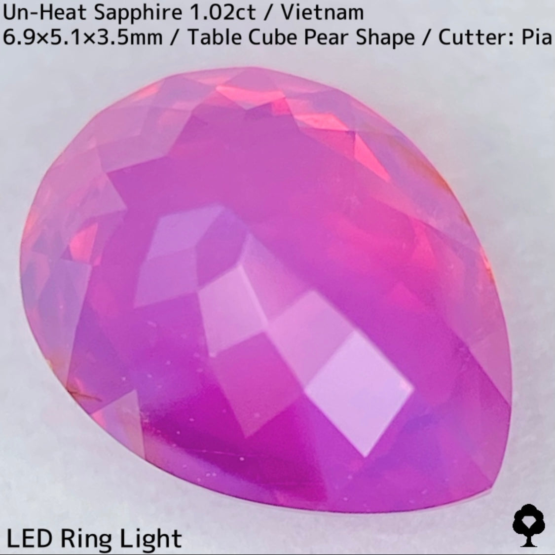Un-Heat Sapphire 1.02ct / Vietnam