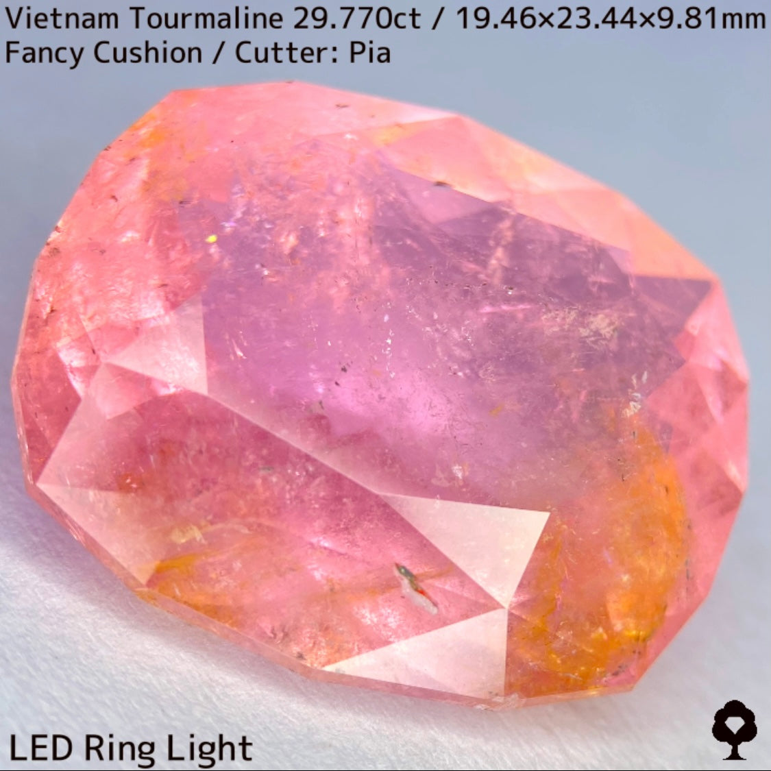 Tourmaline 29.770ct / Vietnam