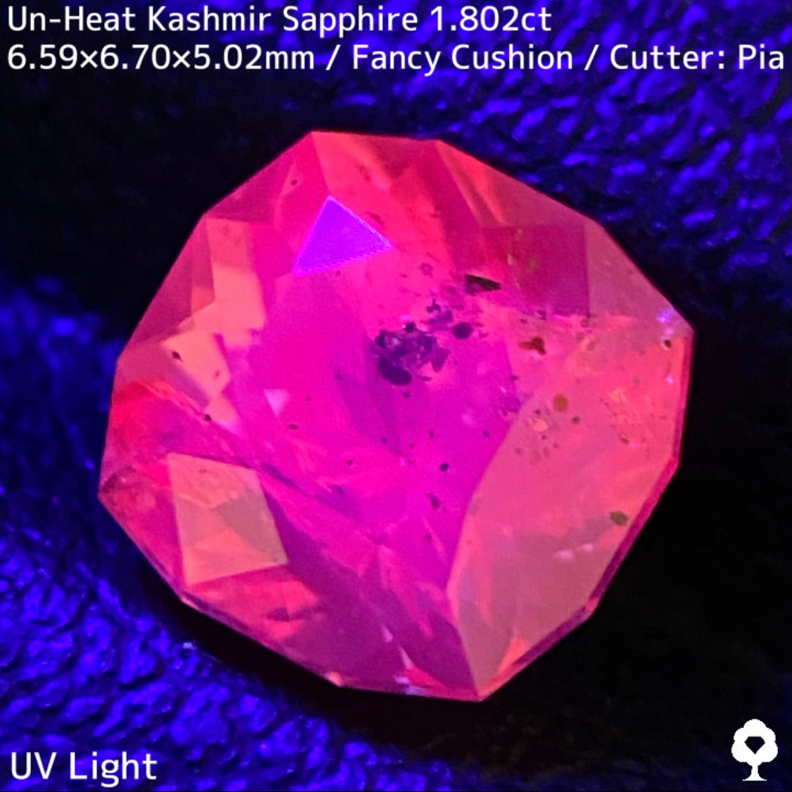 Unheated Kashmir sapphire from Pakistan 1.802ct ★ Enjoy this rare Kashmir masterpiece in a variety of light sources