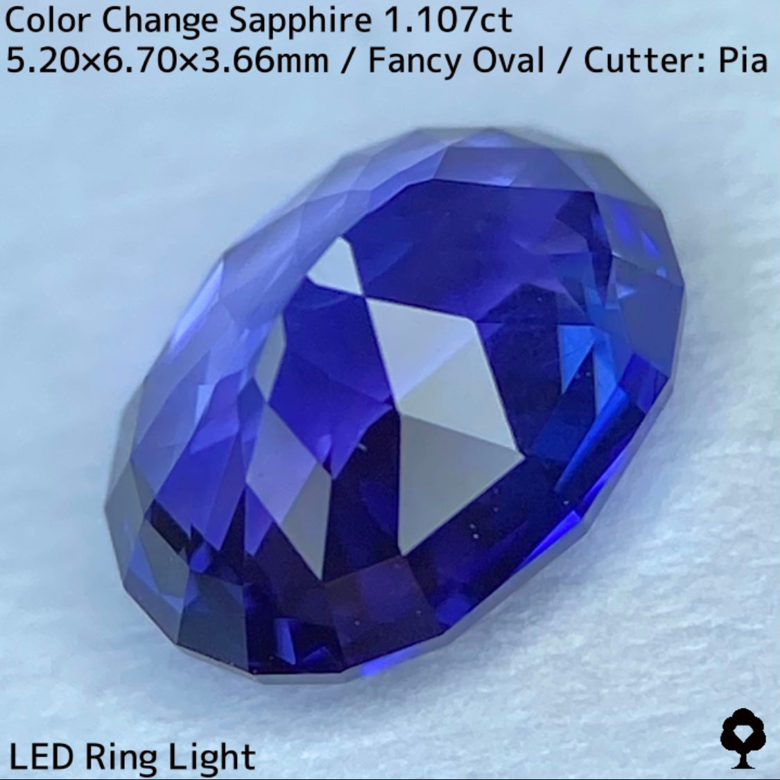 Tanzania color change sapphire 1.107ct ★ Beautiful color change multicolor crystal with a mix of blue, purple, and greenish blue