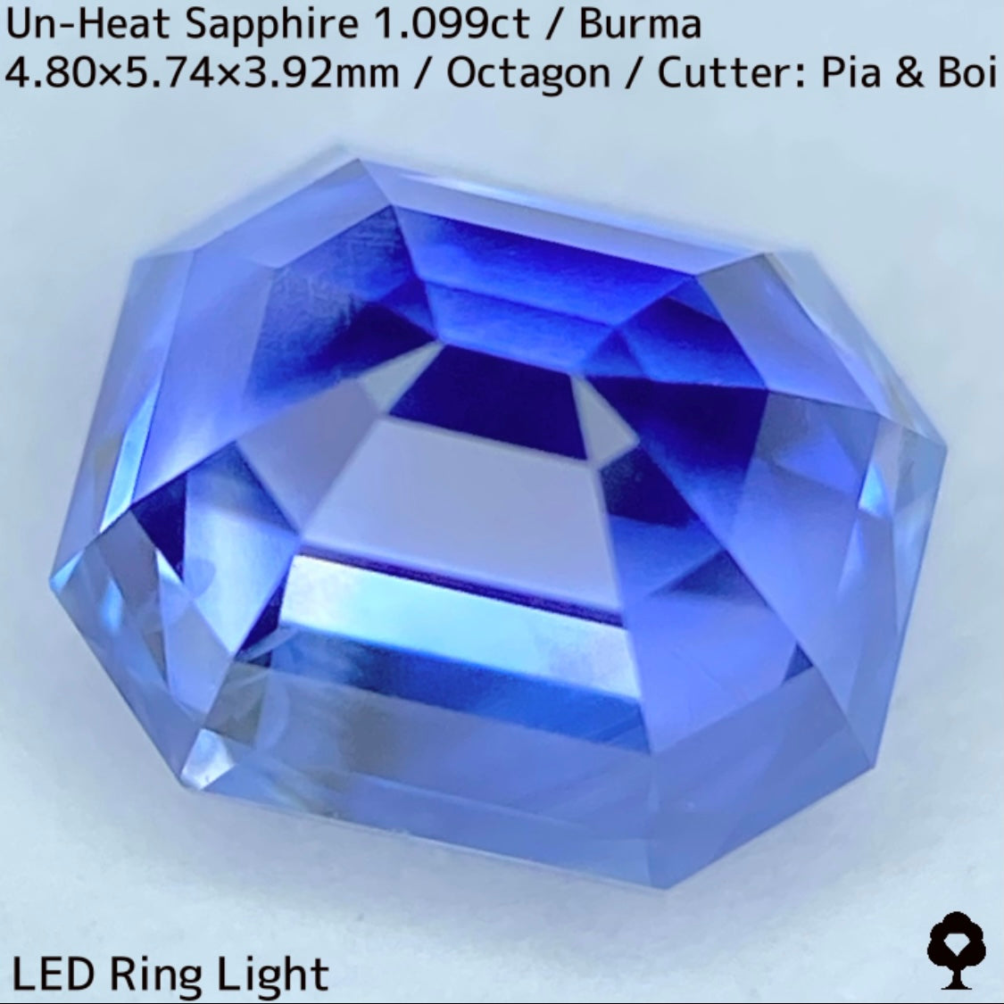 Un-Heat Sapphire 1.099ct / Burma