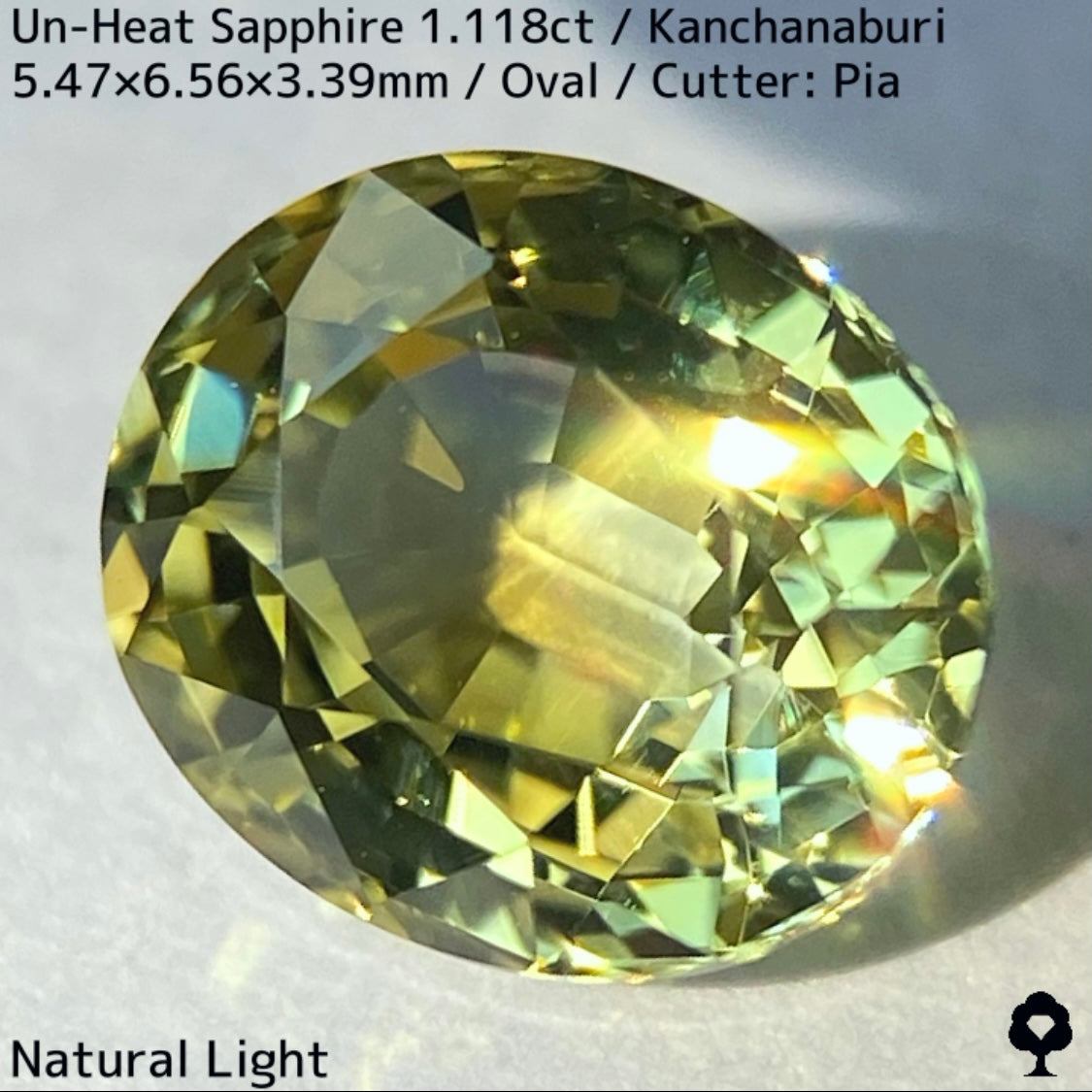 Kanchanaburi Sapphire 2Pc 2.231ct