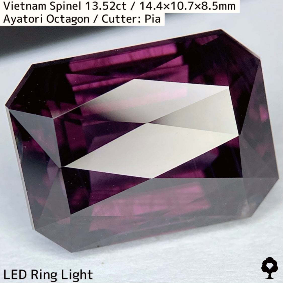 Spinel 13.52ct / Vietnam / Ayatori