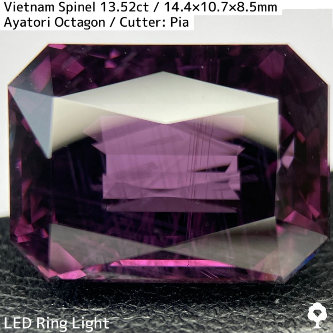 Spinel 13.52ct / Vietnam / Ayatori