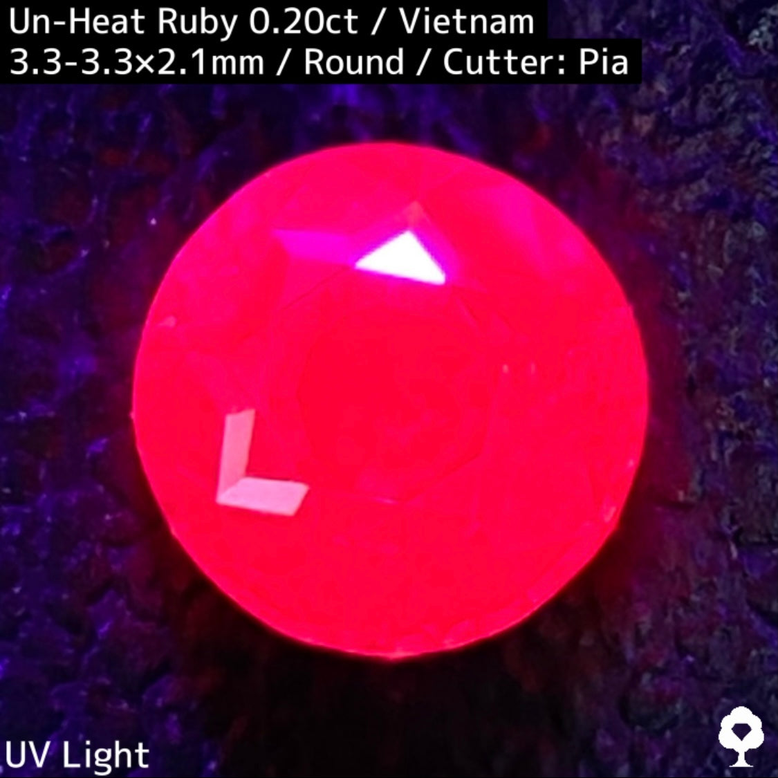 Un-Heat Ruby 0.20ct / Vietnam