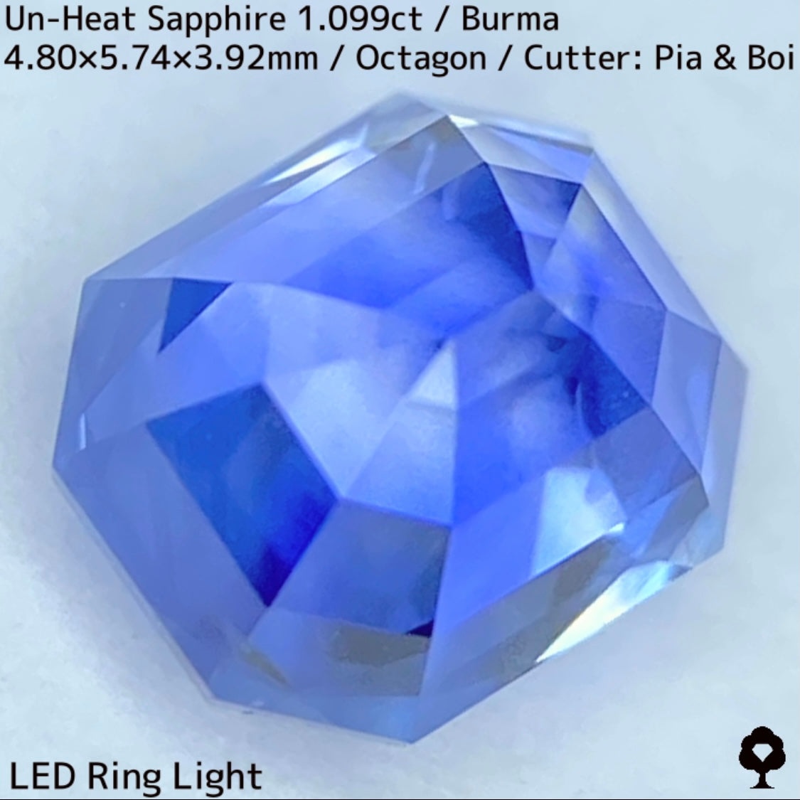 Un-Heat Sapphire 1.099ct / Burma