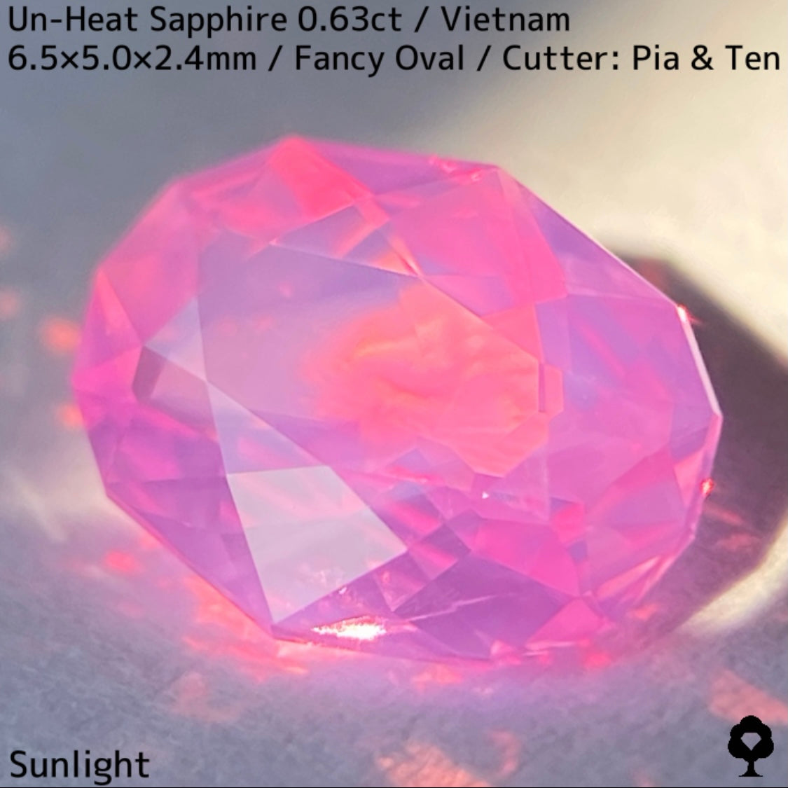 Un-Heat Sapphire 0.63ct / Vietnam