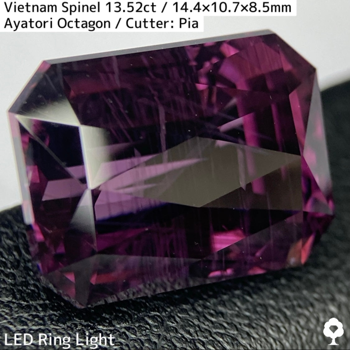 Spinel 13.52ct / Vietnam / Ayatori