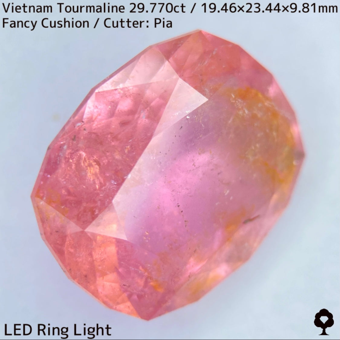 Tourmaline 29.770ct / Vietnam